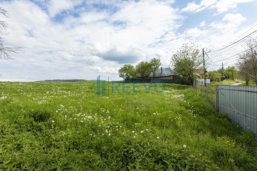 Teren intravilan 4.000 mp Blăgești, Bacău