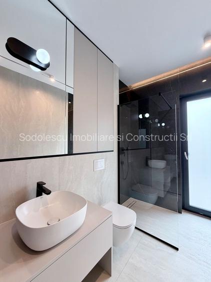 PROIECT DEOSEBIT ZONA LIPOVEI - 5