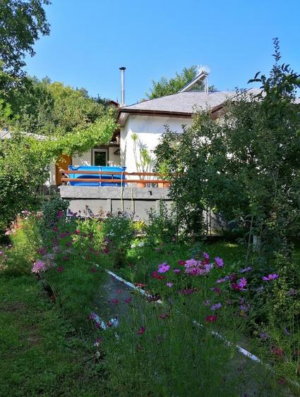 Vă ofer o casă frumoasă, situata într-o zona foarte frumoasă