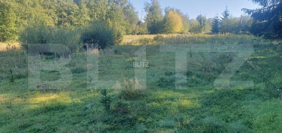 Teren intravilan, 14.540 mp, zona Neagra Sarului - Vatra Dornei - 6