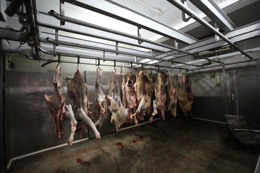 Abator complet functional cu grajduri pentru animale in Bod Colonie