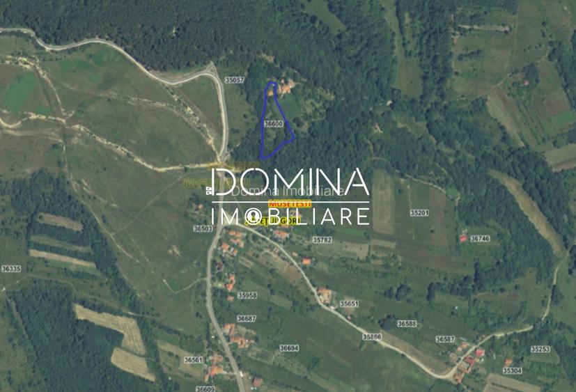 Teren generos 4790 mp + casă tradițională, în loc. Mușetești - 3
