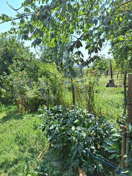 Casa 3 camere, 129mp, zona Viisoara , teren 1240mp