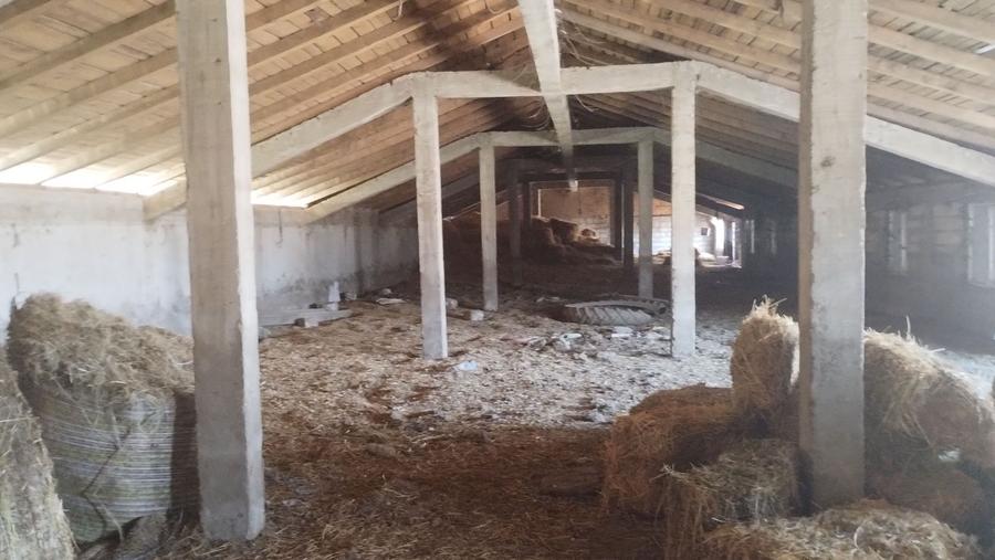 Fermă colectare și îngrașare animale judet Constanta