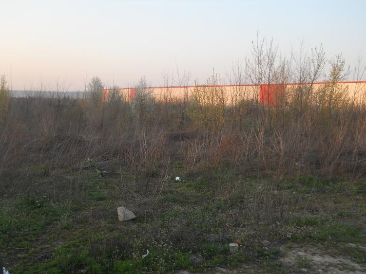 Vanzare teren 13000 mp Baneasa - Soseaua Odai
