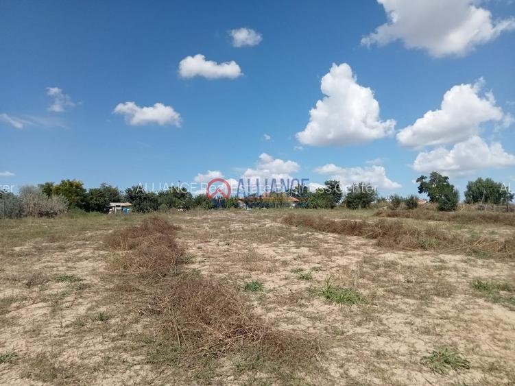 Teren intravilan 4.000 mp - Gradina, jud. Constanta