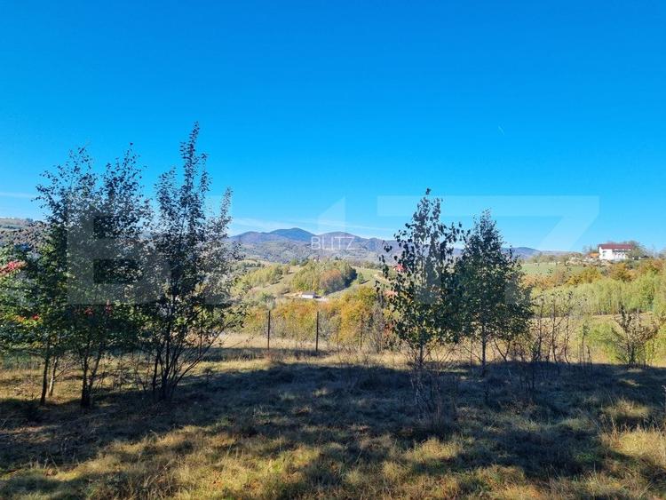 Teren pentru casute de vacanta - Poiana Marului - vedere la M. Piatra Craiului - 3