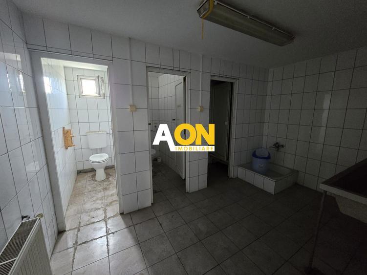 Hala 2750mp Utili Zona Centrala, 2800mp Teren