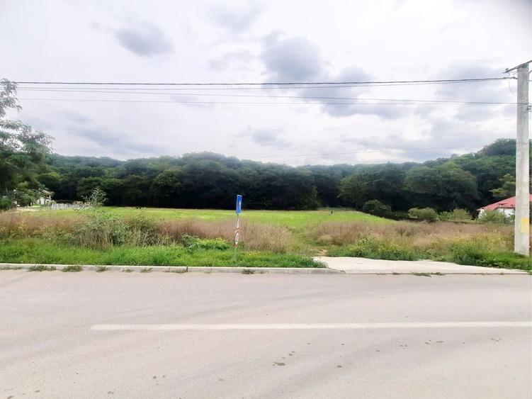 Teren superb Rasnov str Izvorului Cartierul Primaverii
