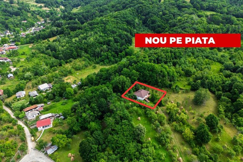 Proprietate de poveste în Corbi, Argeș - Doua case si 6300 mp teren intravilan