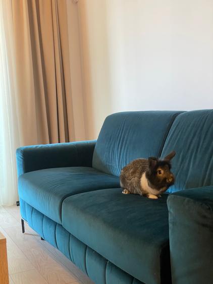 Babu's Luxury Apartement at Novum Politehnica Iuliu Maniu!