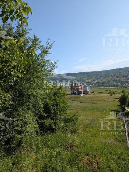 Teren intravilan 4600 mp cu front de 25 m pe strada Odobesti - 8