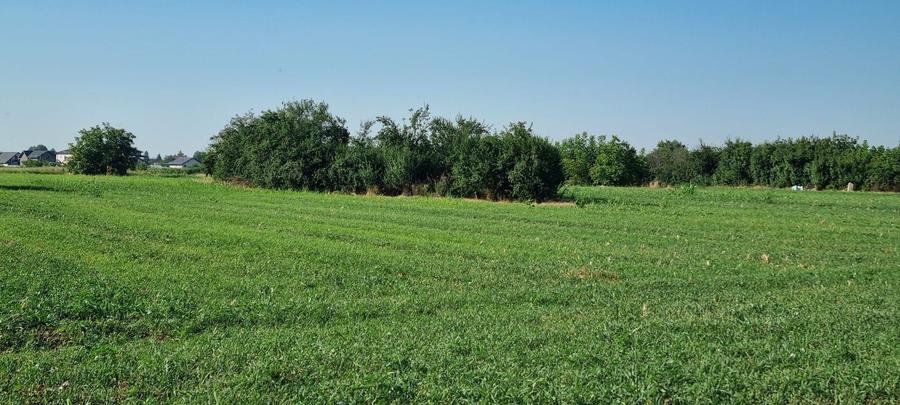 Teren intravilan 2.000 mp, două loturi construibile – Darvari, Ciorogârla