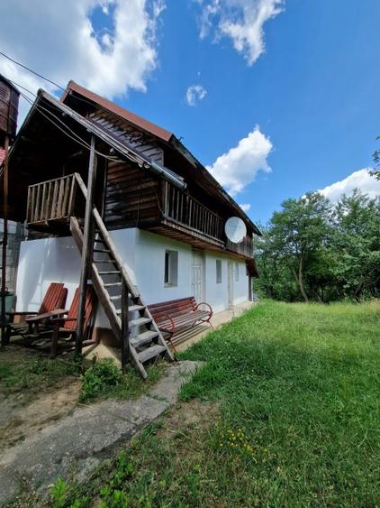 Balilesti - Stradal, casa spatioasa, 4600 mp teren intravilan - curte spatioasa