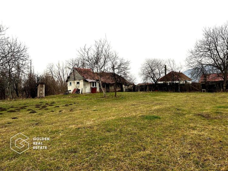 Teren intravilan, pretabil pentru constructie, 2880 mp, comuna Siria