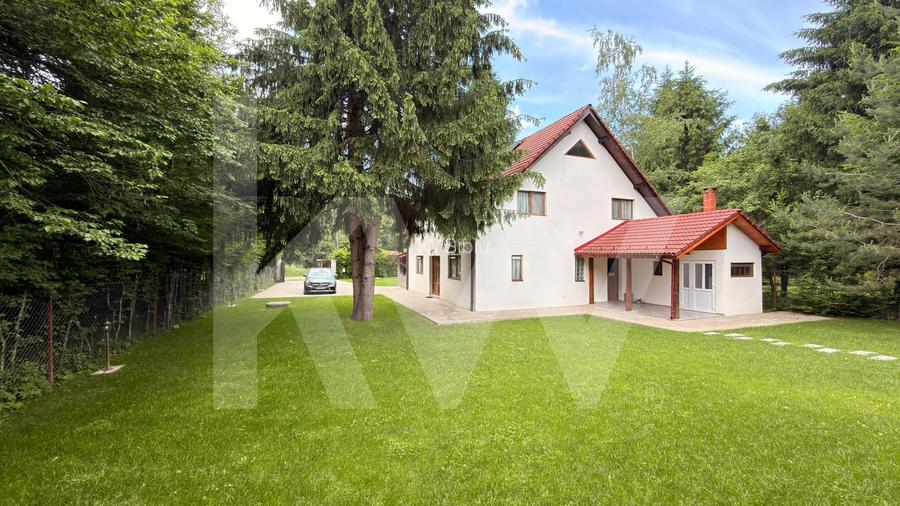 Vila de poveste din Valea Avrigului de vanzare - 19