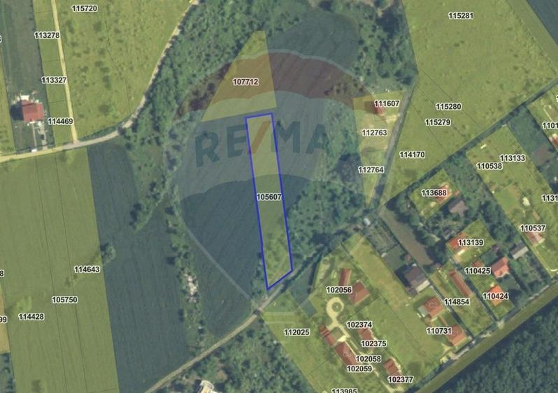 Teren 3000 mp în Snagov – zonă in dezvoltare, aproape de pădure