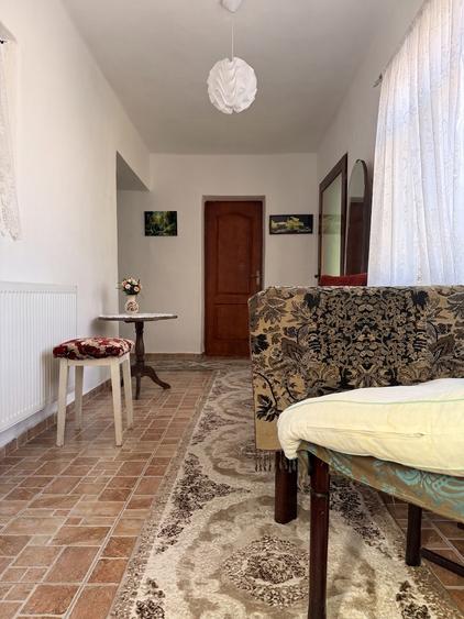 Casa individuala, 200 mp utili, 1005 mp gradina , anexe - Sag
