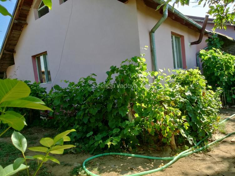 Vind casă nouă mansardă cu pomi fructiferi vita de vie cu 4 camerei baie buc - 7