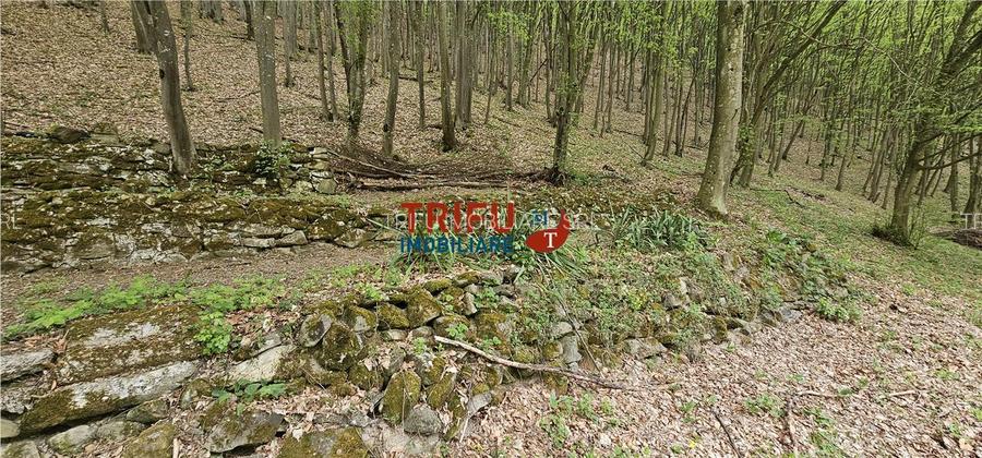 Casă de vacanță la pădure | Teren 891 mp | Valea Ighielului - 29
