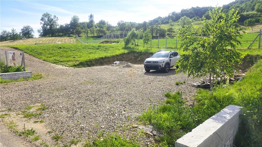 Teren 5.194 m² | 181 metri front la strada Principala (DJ 182C) | Servicii - 7