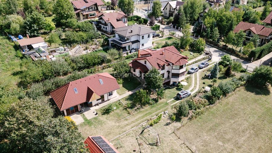 Proprietate deosebită în Bucium - 5