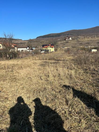 Teren intravilan pentru casa 2400 mp front 16ml Radaia sub pretul pietei