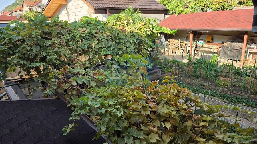 Casă, Central Orsova, cu vedere la Dunăre