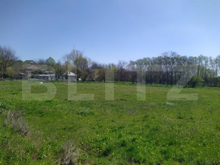 Teren EV și IV cu casă, 29.600 mp, utilități și acces facil, Albești