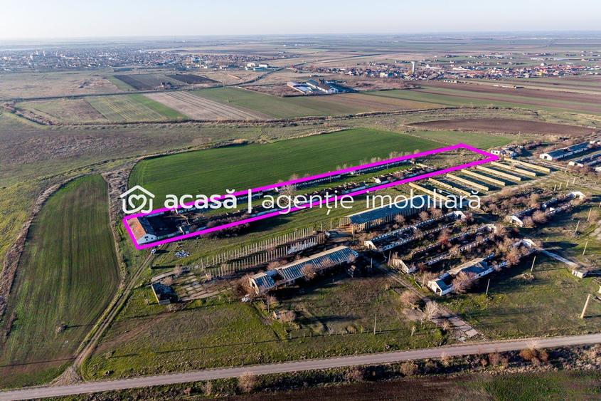 NĂDLAC | Teren 1.15 HA lângă Autostradă | 2.500mp Hale