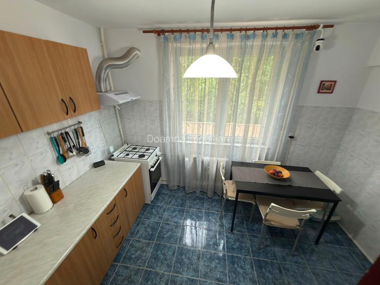 Apartament 2 camere, mobilat si utilat, etajul 6, str. Nitu Vasile, nr. 66 - 4