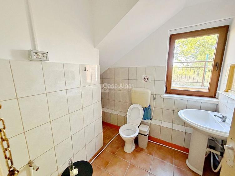 Investitie cu potential ridicat | Bucium, proprietate D+P+M, 19.598mp teren - 10