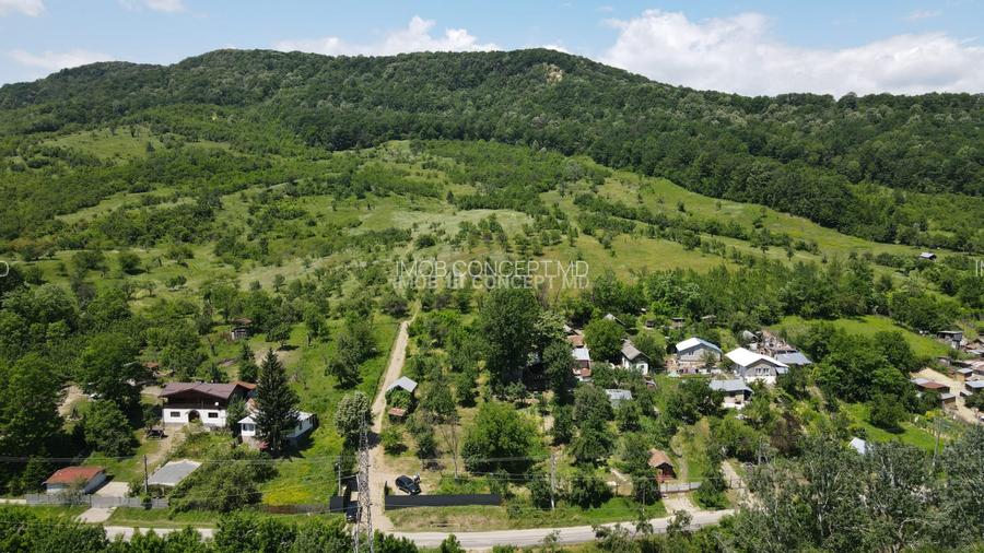 Teren spectaculos cu padure, livada si priveliste panoramica in Soimari PH - 5