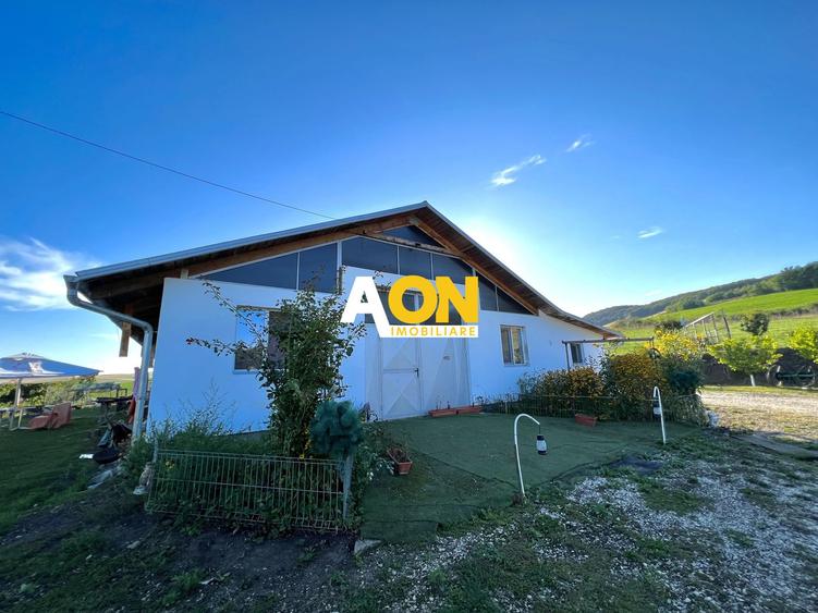 Ferma de vanzare cu 550MP utili si 27.500MP teren la asfalt
