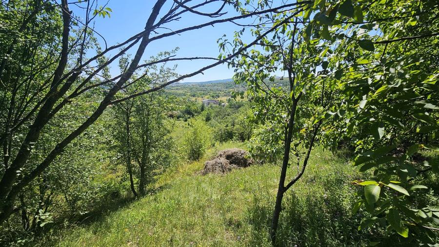 0 % comision, Lot format din 3 parcele, zona Antonio Gaudi-Borhanci