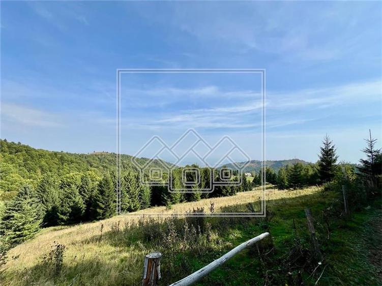 Teren de vanzare - 11200 mp, extravilan - Zona Castelnor