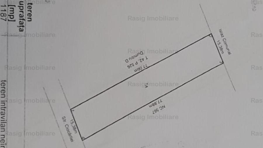 Teren intravilan 1187 mp , strada asfaltata , utilitati