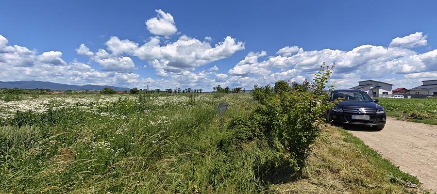 Loturi de casă în Hălchiu - Brașov.