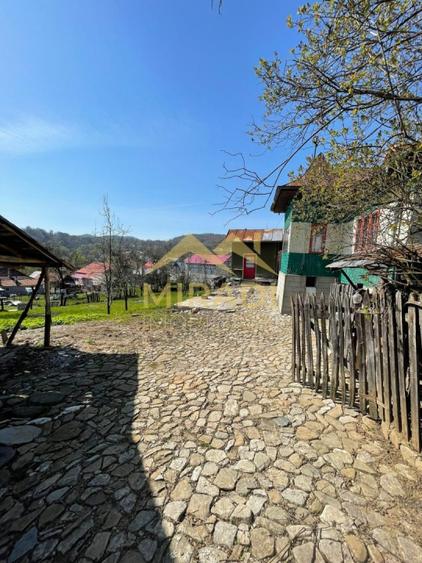 VANZARE CASA TEREN