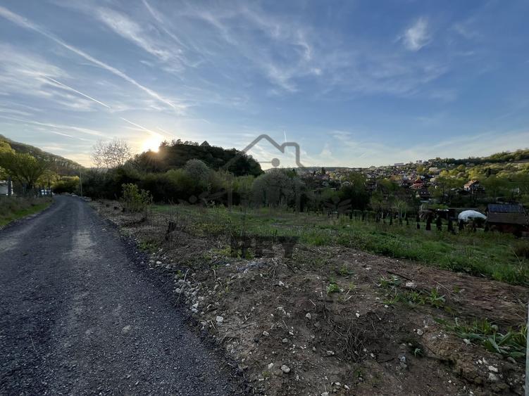 Teren la poalele Cetății Cisnadioarei de vânzare/1250 mp