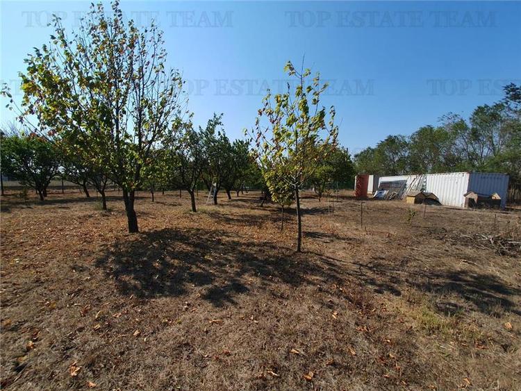 Teren intravilan agricol si teren curti constructii Lot 2 Parcela A326/49