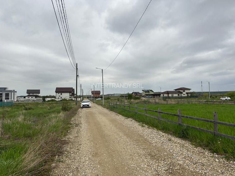 (314) Teren pentru casa Pitesti – zona platou Craiovei - 2