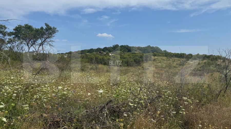 Teren de vanzare extravilan 10819 mp, zona La Soare - 4