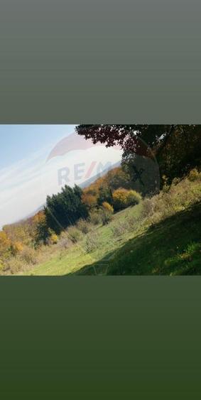 Teren aproape de pădure, situat într-o zonă aerisită
