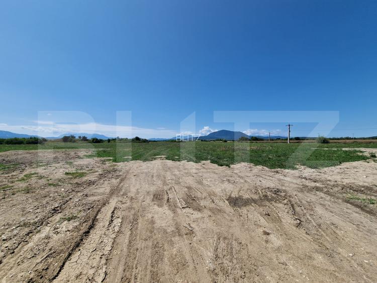 Teren 6300mp-Oportunitate investitie,zona in dezvoltare - 4
