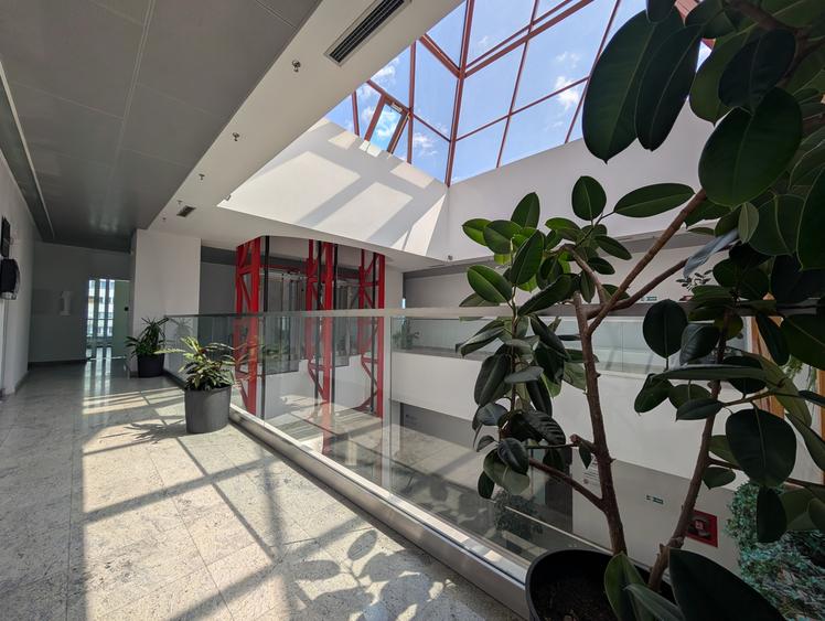 Spatiu 30AVENUE, asigurări, consultanta , servicii, cabinete medicale