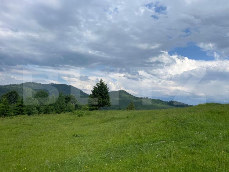 Teren extravilan de vanzare, 2 ha - Campulung Moldovenesc, zona Sandru