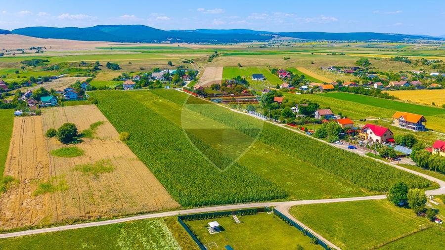 Comision 0% |Teren Intravilan Harman |Podu Oltului| principala