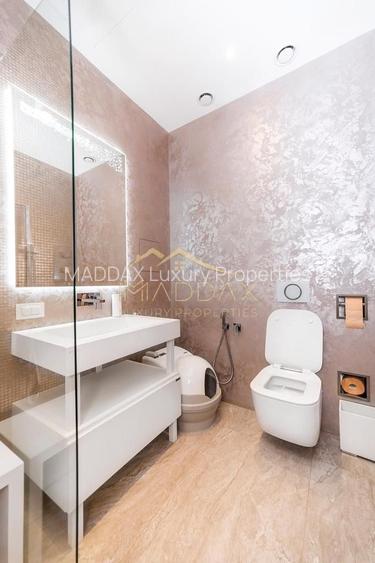 Penthouse cu 5 camere *347mp* + terasa 101mp* // Zona Herastrau - 20