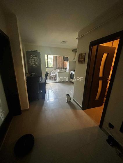 Apartament cu 1 camera  - zona Alexandru cel Bun - Zimbru  - Pet Friendly - 4